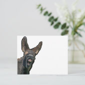 Carte Postale Âne de Poitou (Debout devant)