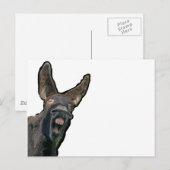 Carte Postale Âne de Poitou (Devant / Derrière)