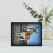 Carte Postale Âne endormi (Debout devant)