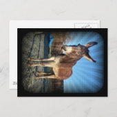 Carte Postale Âne endormi (Devant / Derrière)