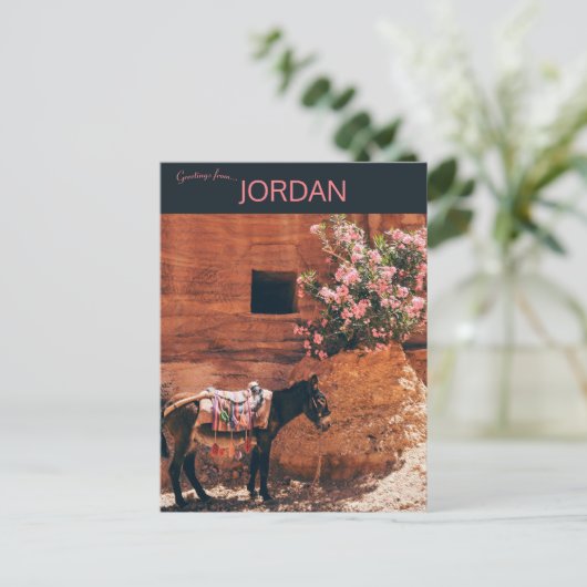 Carte Postale Âne et fleurs dans Wadi Musi en Jordanie (Debout devant)