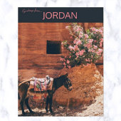 Carte Postale Âne et fleurs dans Wadi Musi en Jordanie