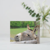 Carte Postale Âne fatigué (Debout devant)