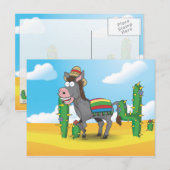 Carte Postale Âne mexicain (Devant / Derrière)