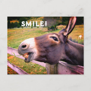 Carte Postale Âne souriant Texte personnalisé Photo drôle