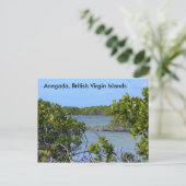 Carte Postale Anegada BVI (Debout devant)