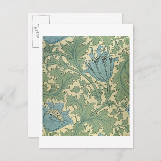 Carte Postale 'Anemone' (Devant / Derrière)