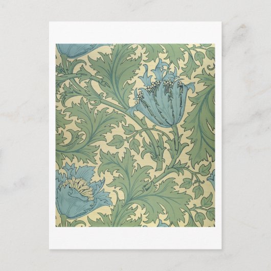 Carte Postale 'Anemone' (Devant)