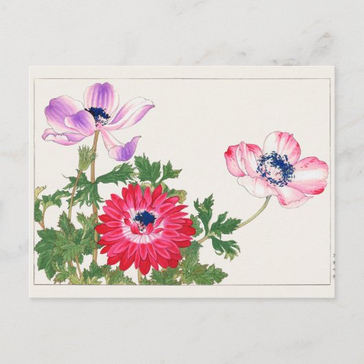 Carte Postale Anemone coronaria par Tanigami Konan (Devant)