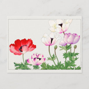 Carte Postale Anemone coronaria par Tanigami Konan