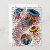 Carte Postale Anémone de mer (Devant / Derrière)