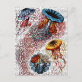 Carte Postale Anémone de mer (Devant)