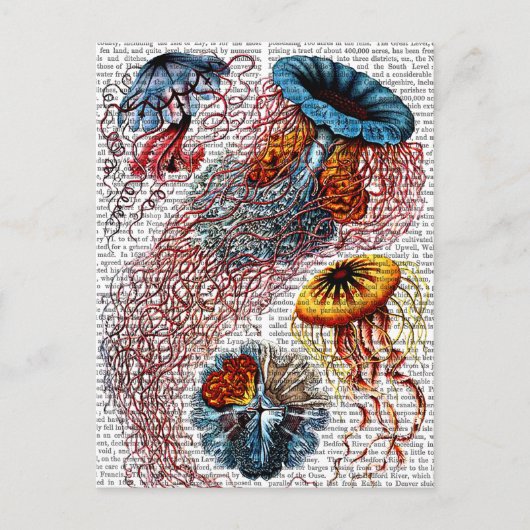 Carte Postale Anémone de mer (Devant)