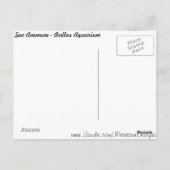 Carte Postale Anémone de mer # 1 (Dos)