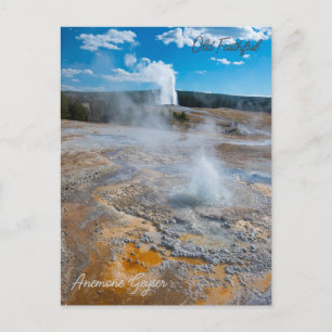 Carte Postale Anémone et vieux geysers fidèles qui s'effondrent