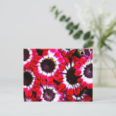 Carte Postale Anémones (Debout devant)