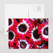 Carte Postale Anémones (Devant / Derrière)