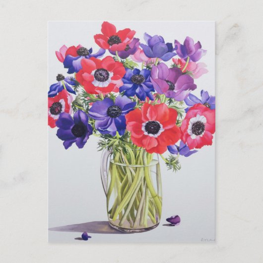 Carte Postale Anémones dans une vitrine 2007 (Devant)