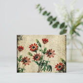 Carte Postale Anémones intemporels (Debout devant)