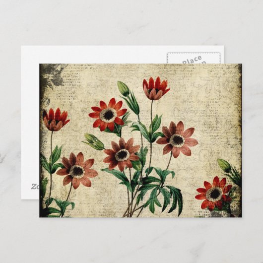 Carte Postale Anémones intemporels (Devant / Derrière)