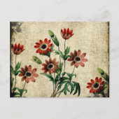 Carte Postale Anémones intemporels (Devant)