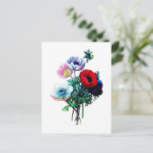 Carte Postale Anémones rouge blanc et bleu par Redoute (Debout devant)
