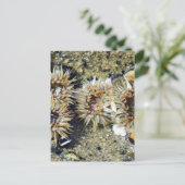 Carte Postale Anenomes Tidepools Sable (Debout devant)