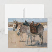 Carte postale Ânes à la plage (Devant / Derrière)