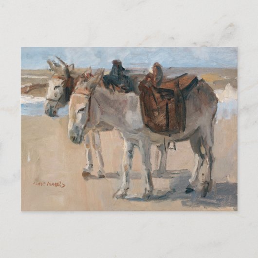 Carte postale Ânes à la plage (Devant)