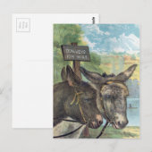 Carte Postale Ânes à louer (Devant / Derrière)