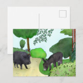 Carte Postale Ânes et cochons (Devant / Derrière)