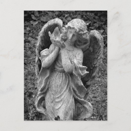 Carte Postale Ange (Devant)