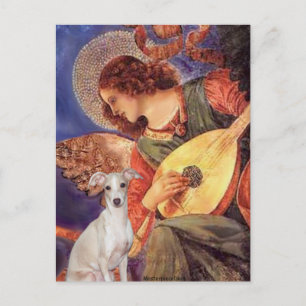 Carte Postale Ange à la mandoline - -Levrier Italien 7