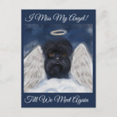 Carte Postale Ange Affenpinscher (Devant)