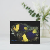 Carte Postale Ange bicolore de H2Oasis (Debout devant)