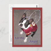 Carte Postale Ange Boston Terrior (Devant / Derrière)