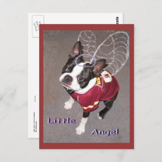 Carte Postale Ange Boston Terrior (Devant / Derrière)
