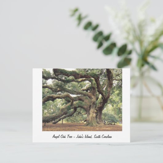 Carte Postale Ange Chêne près de Charleston, SC (Debout devant)