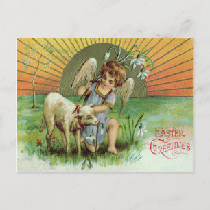 Carte Postale Ange Chérubin Soleil Agneau Mouton