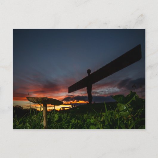 Carte Postale Ange Du Nord (Devant)