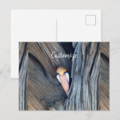 Carte Postale Ange sculpté dans l'arbre Thunder Cove (Devant / Derrière)