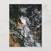 CARTE POSTALE ANGEL (Devant)