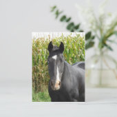 Carte Postale Angel bleu (Debout devant)