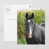 Carte Postale Angel bleu (Devant / Derrière)