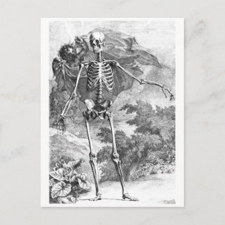 Carte Postale Angel couvrant un squelette debout