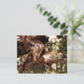 Carte Postale Angel de Highgate (Debout devant)