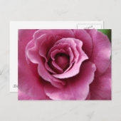 Carte postale Angel Face II (Devant / Derrière)