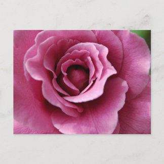 Carte postale Angel Face II