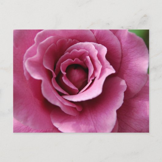 Carte postale Angel Face II (Devant)