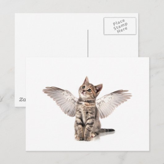 Carte Postale angel kitty (Devant / Derrière)